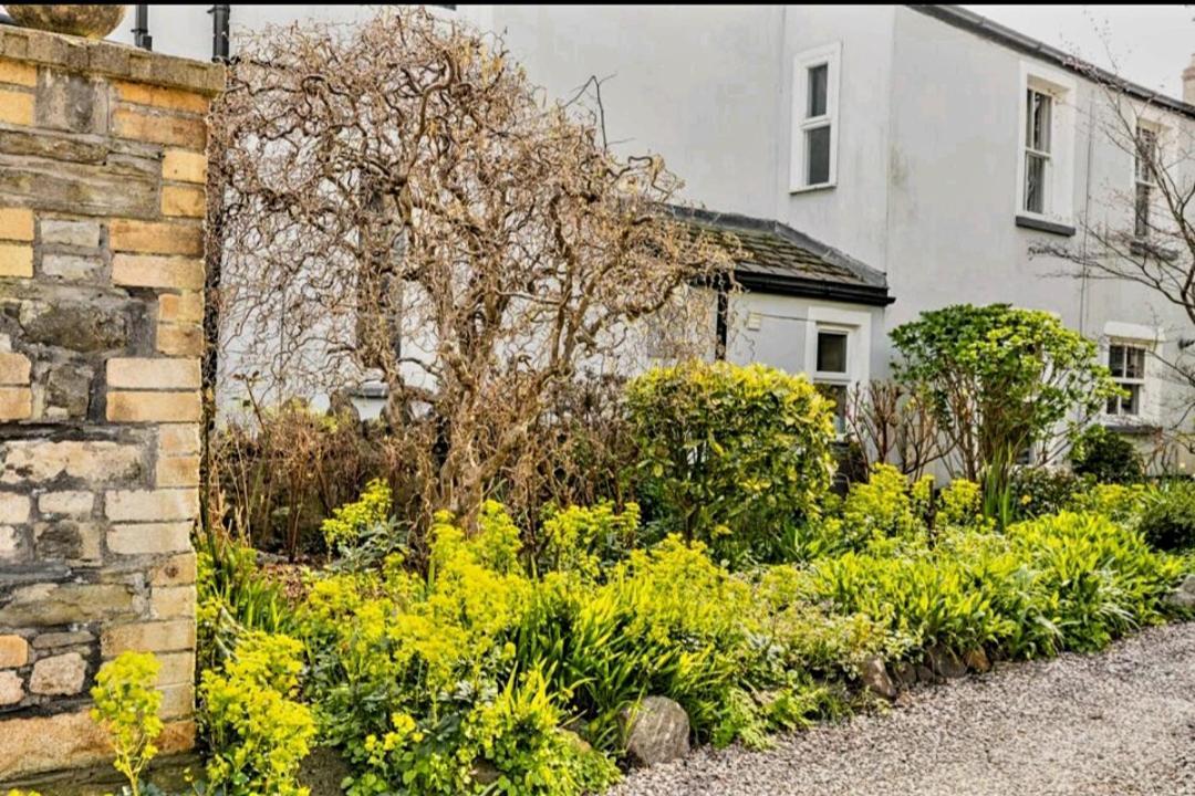 The Mews - Less Than 1Km To City Centre - Stadium - Castle - 10 Min Walk Cardiff Bagian luar foto